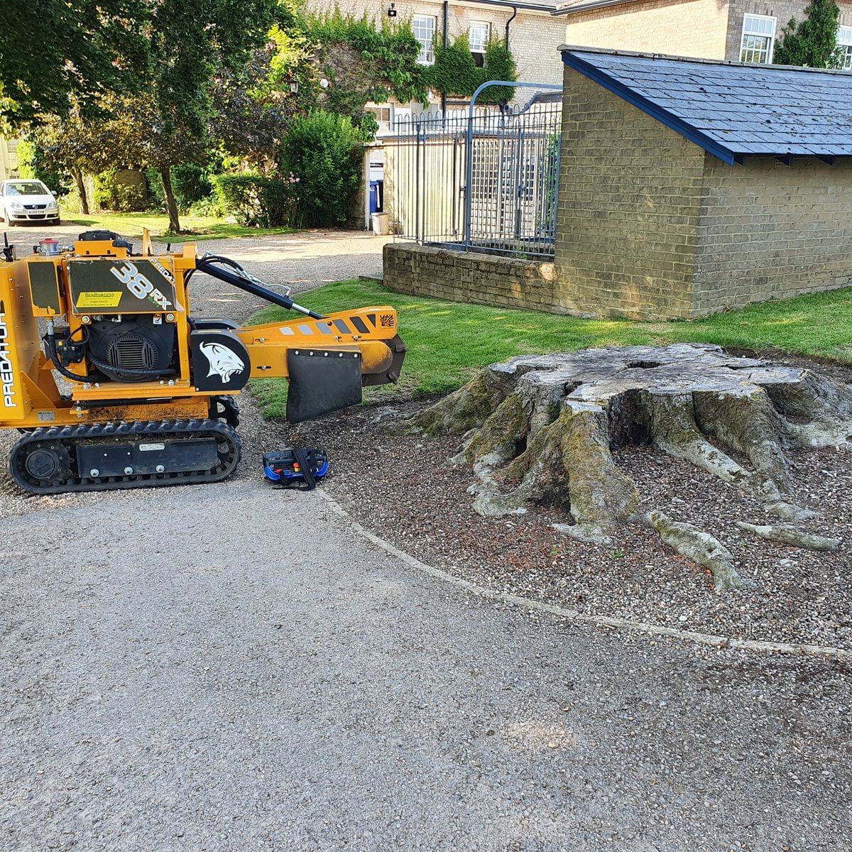 Removing a large oak tree stump at Thurlow, near Newmarket, Suffolk. Believe it or not, oak is one of the easier types o...