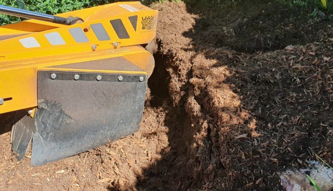 Leigh on Sea, Essex. Tree stump grinding a variety of different tree stumps in preparation for grass seeding. The area h…