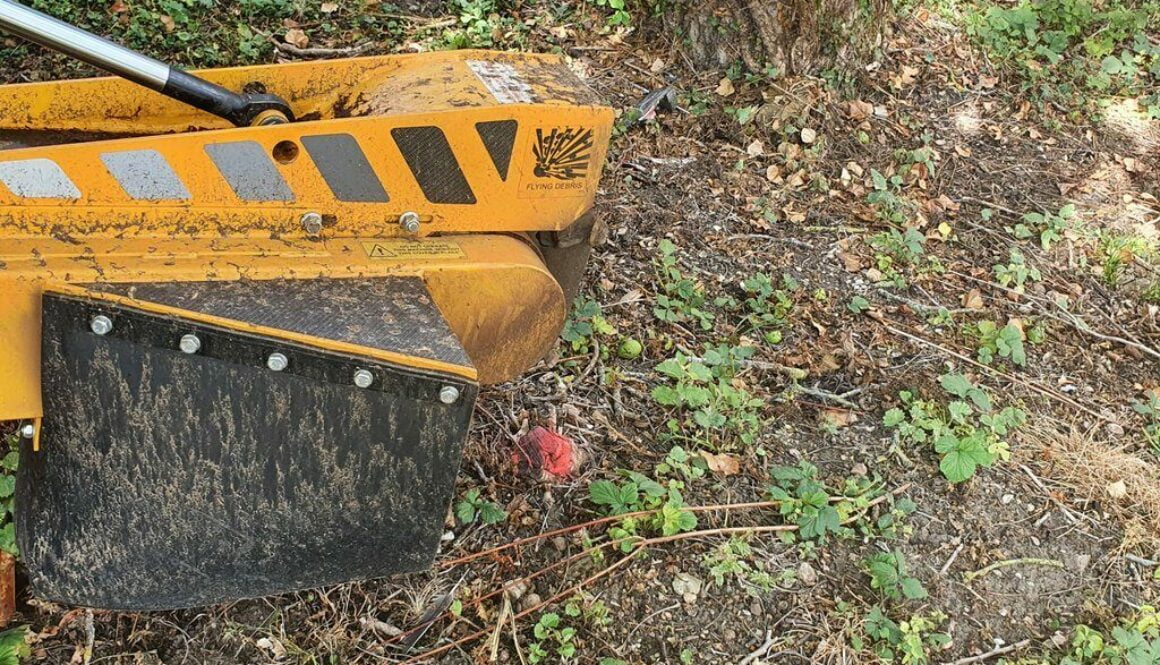 Today we are removing a selection of tree stumps in preparation for the digger and landscapers. In Haverhill, Suffolk. #…