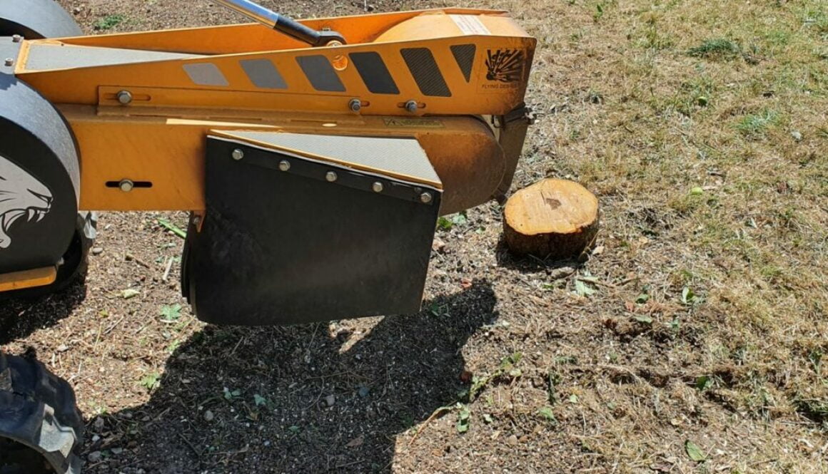 Tree stump grinding in Wickford, Essex. The majority of tree stumps were conifer trees although there are a few other va…