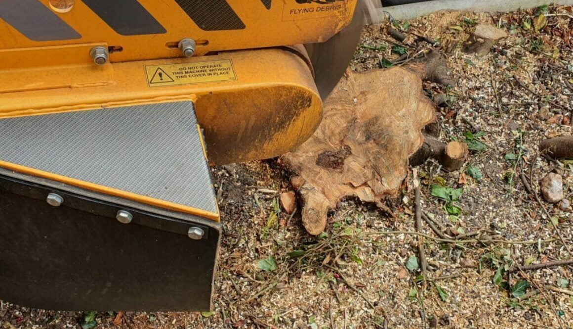 Working in Great Baddow, near Chelmsford, Essex, removing a variety of tree stumps from an overgrown garden. The custome…