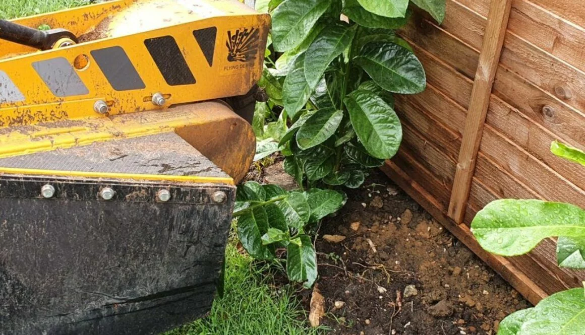 Tree stump grinding in Steeple Bumstead, near Haverhill, Suffolk. The area was cleared of tree stumps in preparation for…