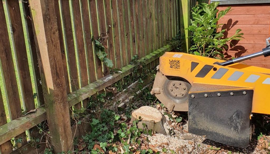 More tree stump grinding in Cornish Hall End, Finchingfield, Essex. There were a number of various types of tree stump t...