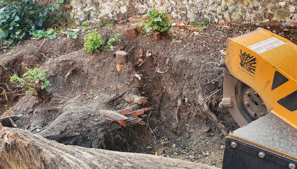 Tree stump grinding in Great Bardfield, Essex. This job was slightly different due to the fact that the tree stump was i...