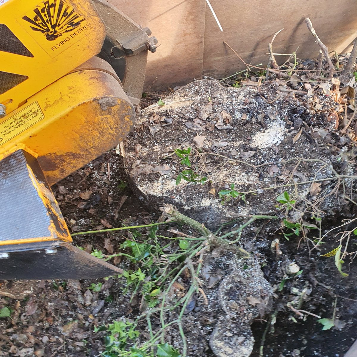 Tree stump grinding at Pilgrims Hatch, near Brentwood, Essex. This was a very large holly tree stump that was approximat...