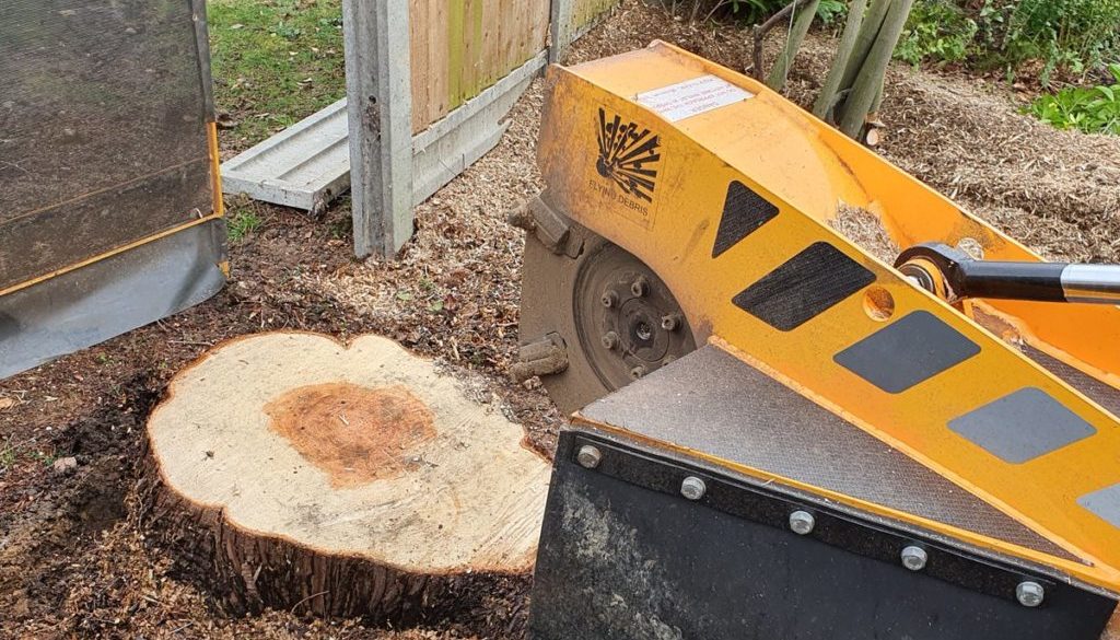 Tree stump grinding in Billericay, near Chelmsford, Essex, I have removed 8 stumps of different types of trees.
#treestu...