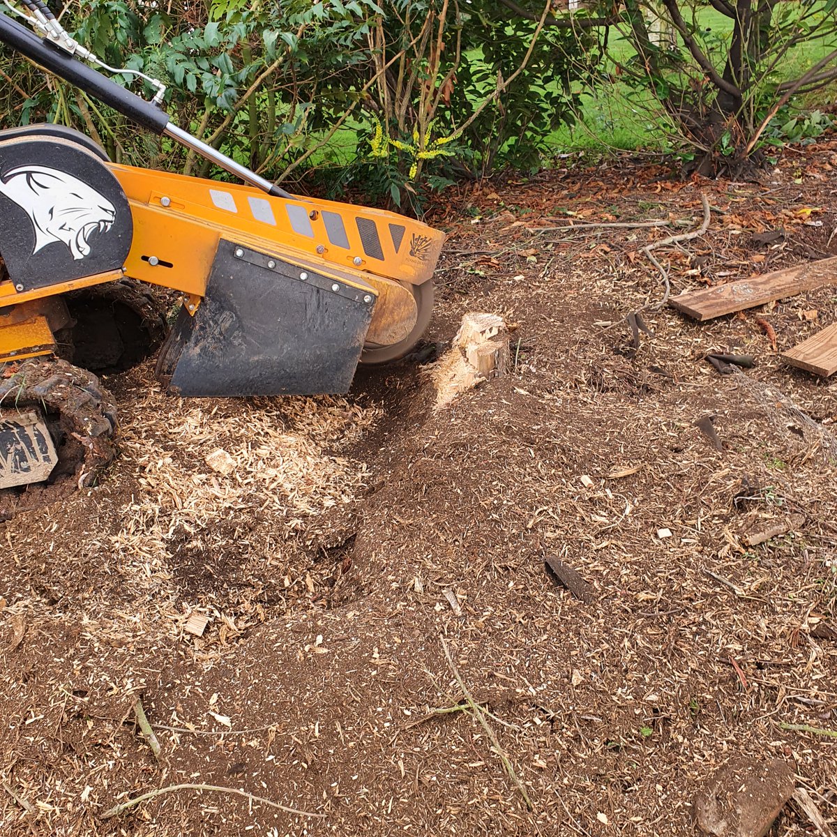 Tree stump removal chelmsford