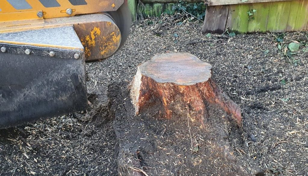 Removing 4 conifer tree stumps in Witham. Access was tight on this particular job, however, with our narrow width stump ...