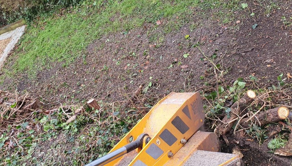 Tree stump grinding near Mountnessing, Ingatestone, Essex. This was an old hedgerow that was removed in preparation for ...