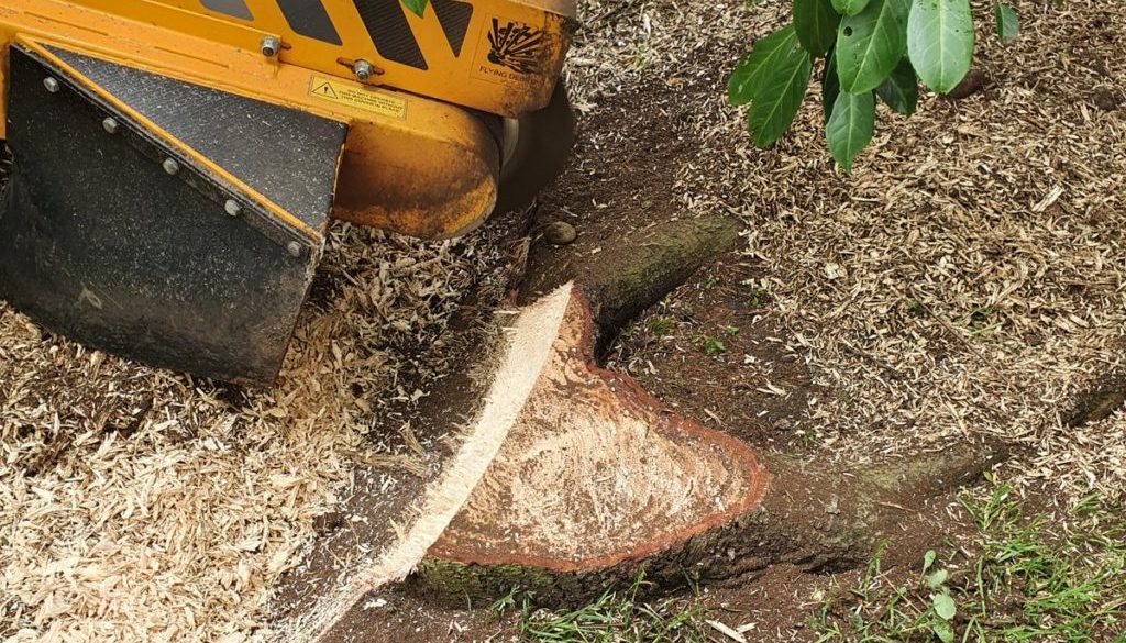 Tree stump grinding at Downham, new Billericay, Chelmsford, Essex. Here we had a mixture of tree stumps that needed to b...