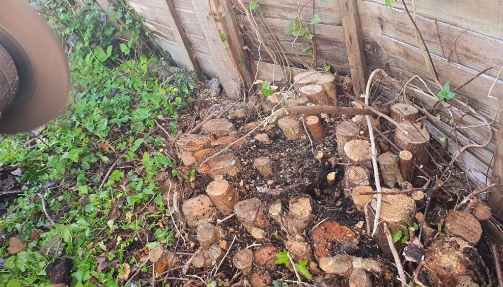 Tree stump grinding in Sudbury, Suffolk, today. Here we have a large hazel stump that has been totally removed. It was a...