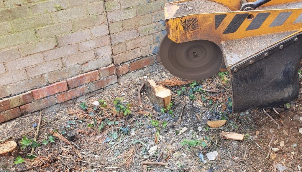 Tree stump grinding near Chingford, Epping, Essex. Here a row of conifer tree stump's are being removed to make the erec...