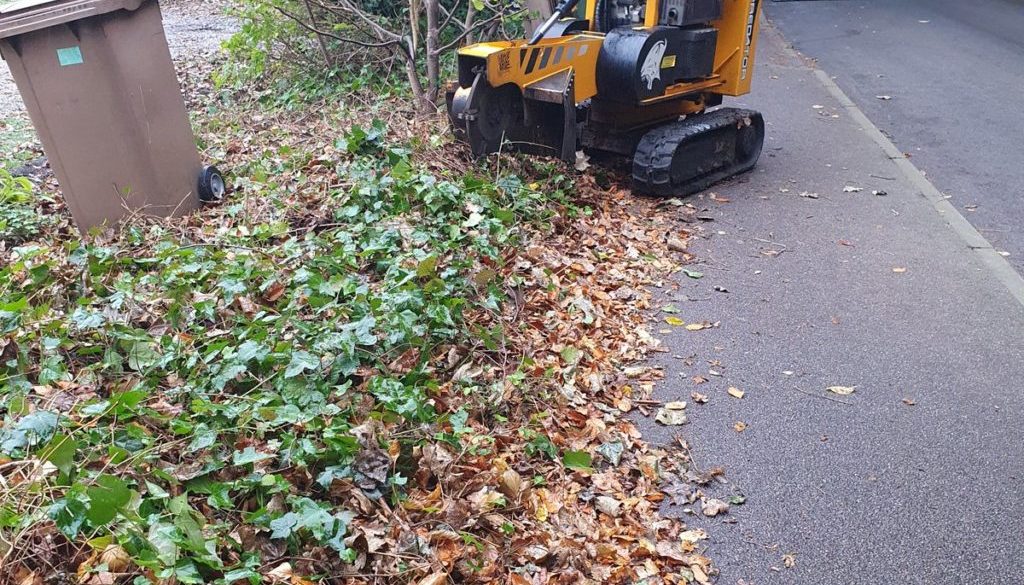 Tree stump grinding a row of hedgerow tree stumps in East Bergholt, Suffolk. Here you can see the before and after pictu...