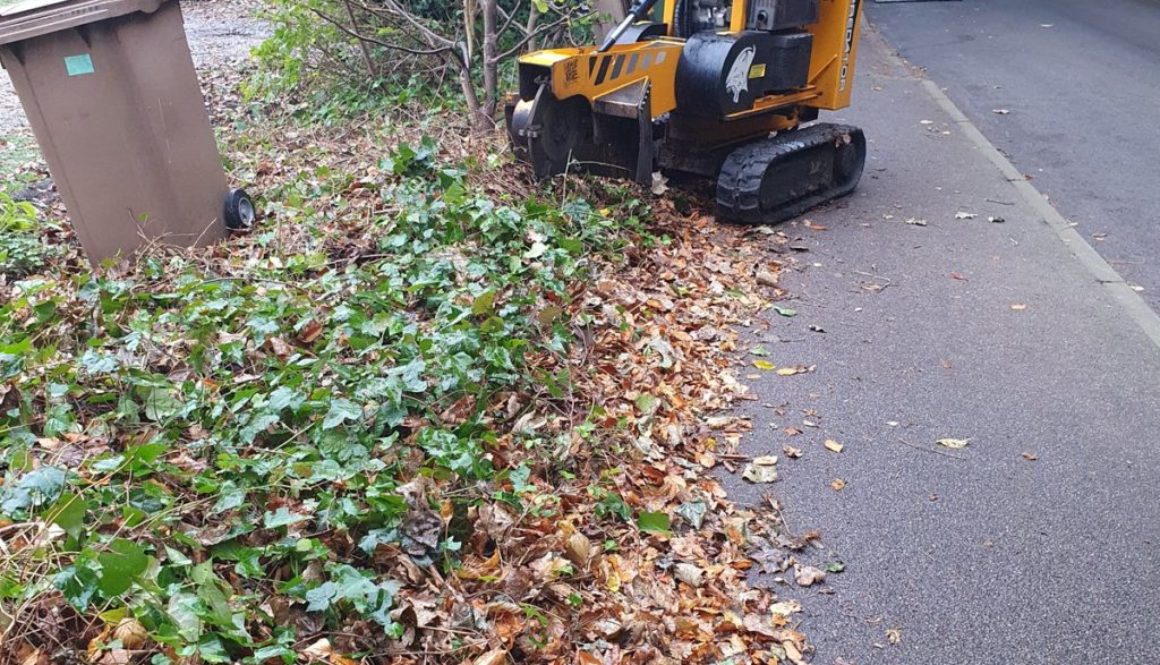 Tree stump grinding a row of hedgerow tree stumps in East Bergholt, Suffolk. Here you can see the before and after pictu...