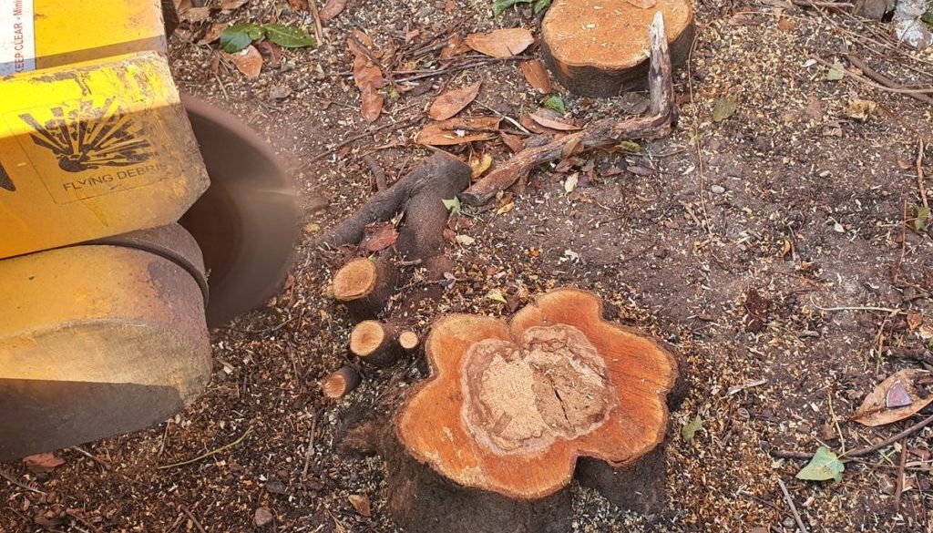 Tree stump grinding a collection of various tree stumps in Broomfield, near Chelmsford, Essex. The garden was having a t...