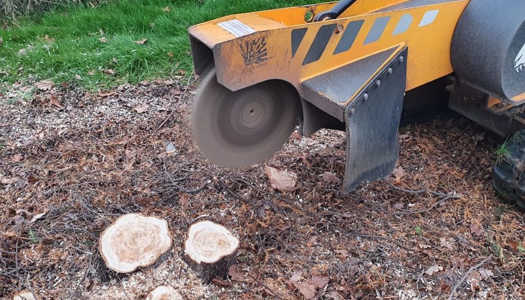 Tree stump grinding various tree stumps and tree roots at Welwyn Garden City, near Hertford, Herts. There were over 40 v...