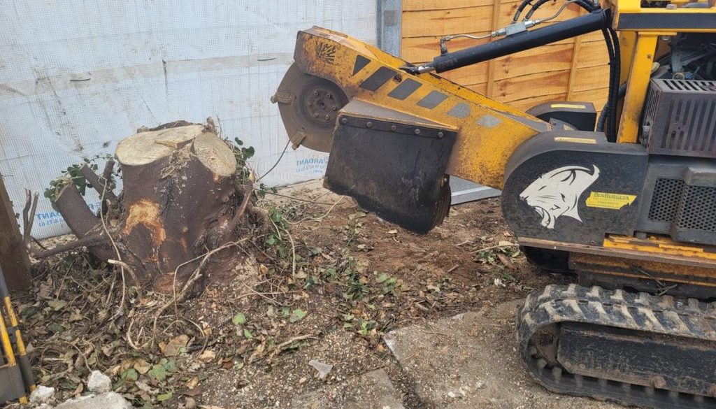 Here we are looking at a large maple tree stump to remove in Chelmsford, Essex. The tree was removed to make way for a n...