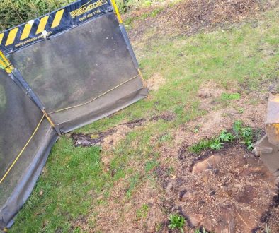 Tree stump grinding at Elmdon, near Saffron Walden, Essex. Here a large willow tree stump is being removed to make way f...