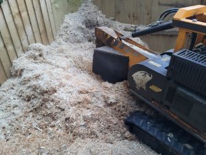 Almost Finished Tree Stump Grinding