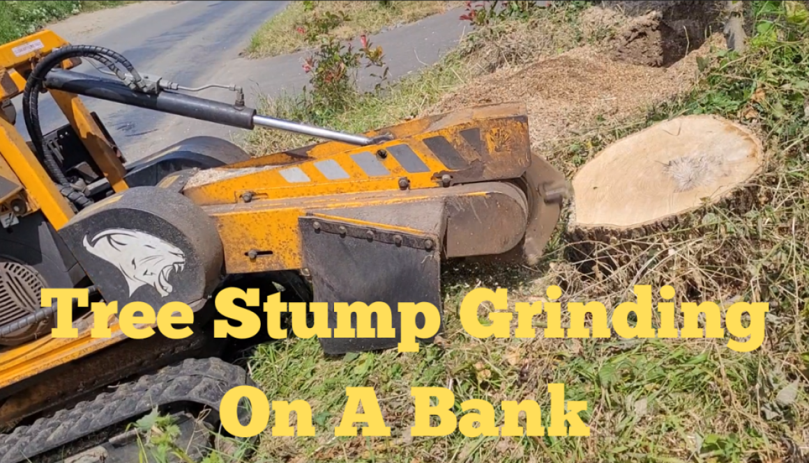 Tree Stump Grinding On A Bank