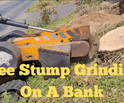 Tree Stump Grinding On A Bank