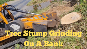 Tree Stump Grinding On A Bank