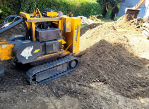 Predator 38 RX Stump Grinder Tackling A Large Yew Stump In Shenfield