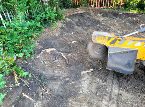 Tree Stump Grinding Near Shenfield